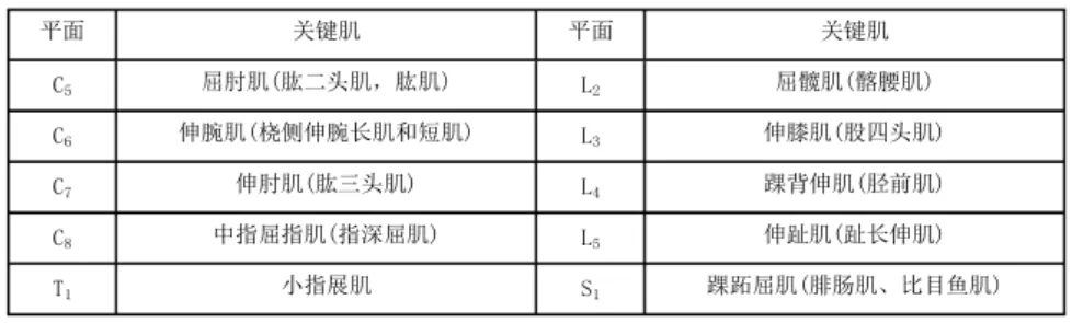 脊髓損傷的康復